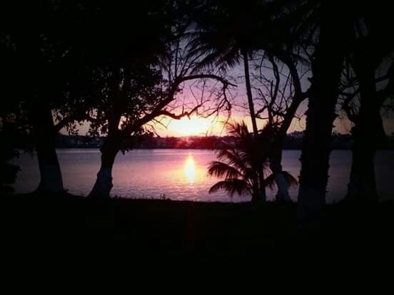 ¡ya elegimos jardín! - 3