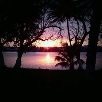 ¡ya elegimos jardín! - 3