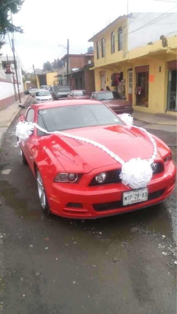 Sorprendente y divertido mira... - 10