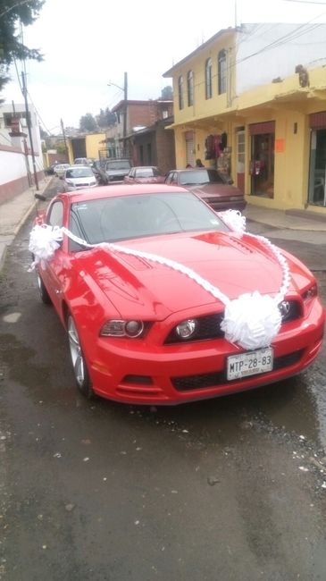 Sorprendente y divertido mira... - 10