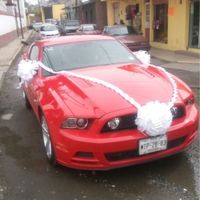 Sorprendente y divertido mira... - 10