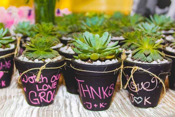 Suculentas Recuerditos