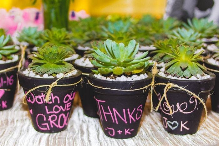 Suculentas Recuerditos