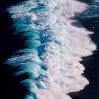 Cual es el lugar ideal para celebrar la ceremonia.