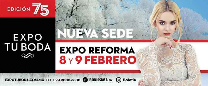 Expos, los recomiendan? - 1