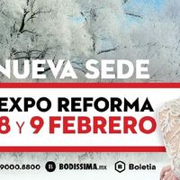 Expos, los recomiendan? - 1