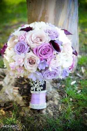 Dilema del color de las damas - 4