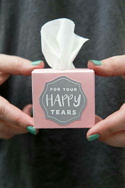 Solo para lágrimas de felicidad - 2