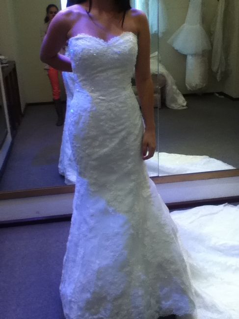 Mi Vestido! 