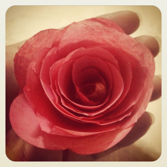 Flor en Mano