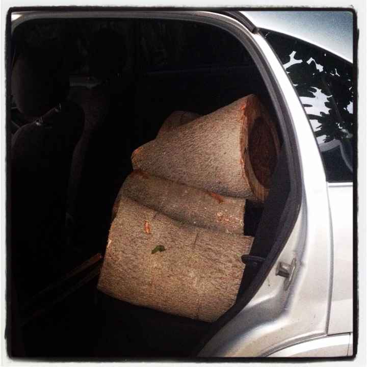 Troncos para Centros de Mesa
