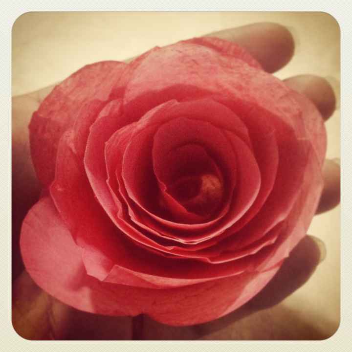 Flores