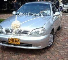 Todas van a decorar el carro? - 2