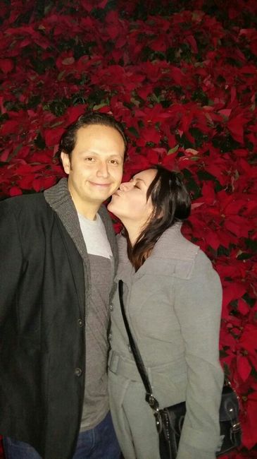 Mi diario de boda - 2