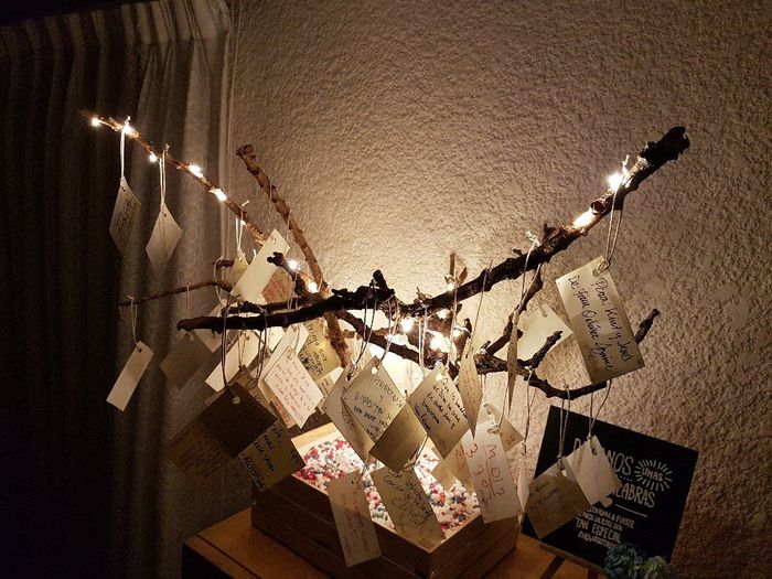 Nuestro árbol de los deseos - 3