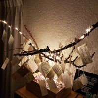 Nuestro árbol de los deseos - 3