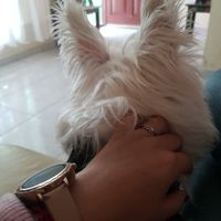 Dia Festivo y de presumir su anillo de compromiso - 1