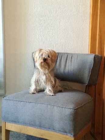 El, es el mas guapo, lo amo!