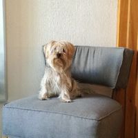 El, es el mas guapo, lo amo!
