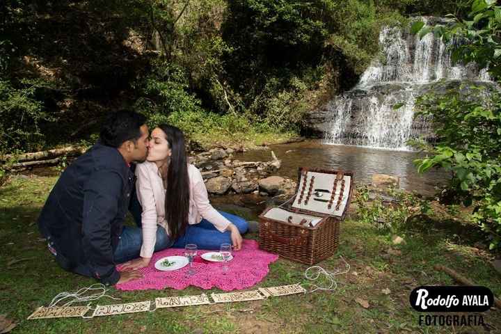 de picnic