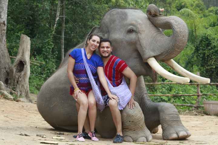 Luna de miel en tailandia - 1