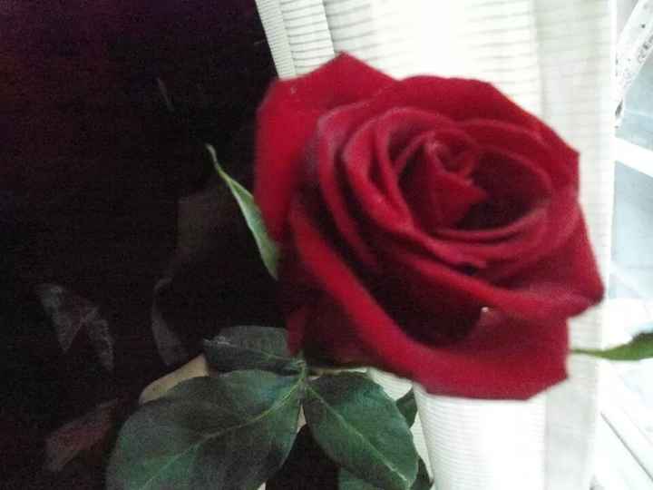 Mi anillo de compromiso!! - 1