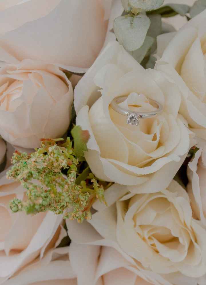 Muestra el anillo - 1