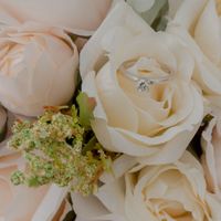 Muestra el anillo - 1