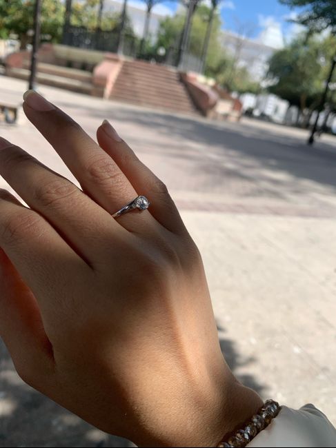 National Proposal Day 7