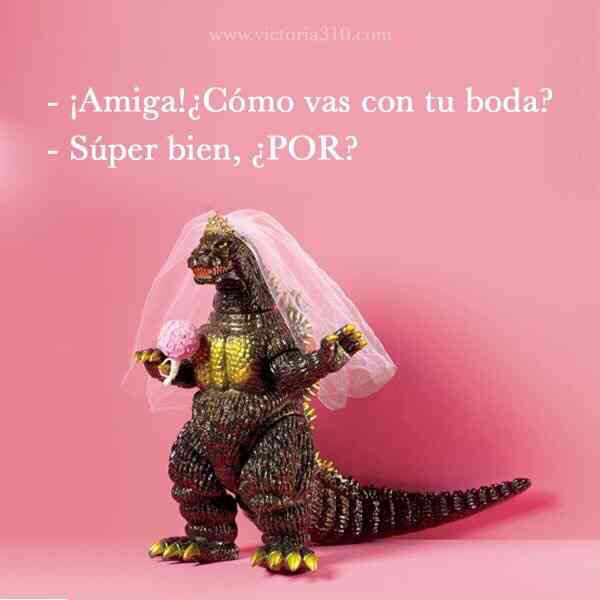 Publiquen sus mejores memes chicas 🤓🤗🤣 - 1