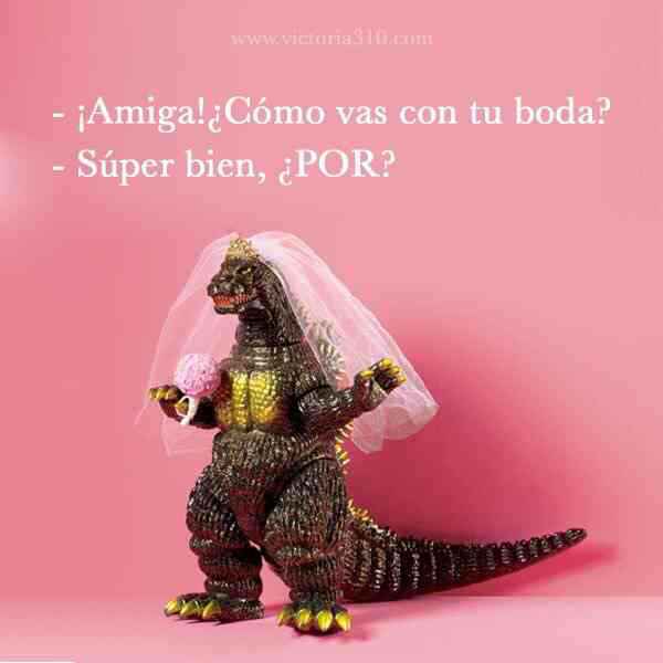 Publiquen sus mejores memes chicas 🤓🤗🤣 - 1