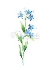 Something blue no me olvides