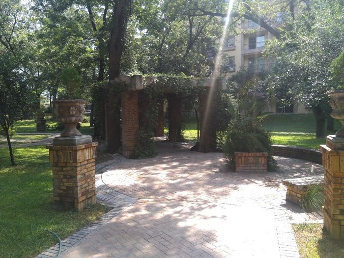 El arco 