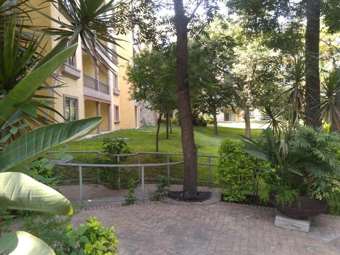 Jardines y el hotel