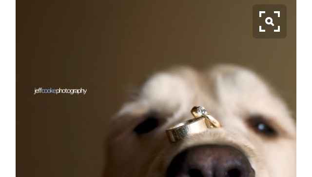 Fotos de los anillos - 3