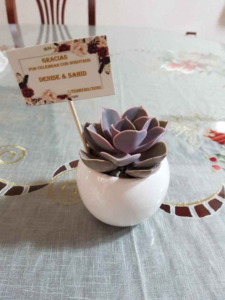 Plantas para regalo - 1