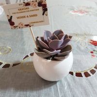 Plantas para regalo - 1
