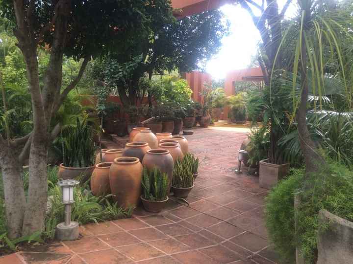 Boda de dia o de noche? jardin o hacienda? - 3