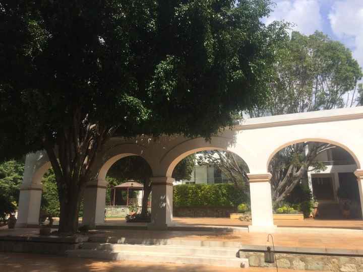Boda de dia o de noche? jardin o hacienda? - 9