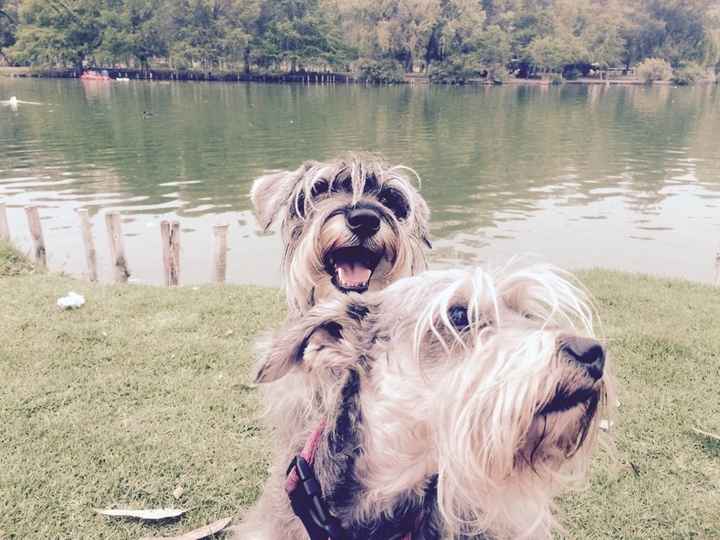 Tiempo de presumir a sus amigos peludos, quien tiene mascotas :d!! - 3