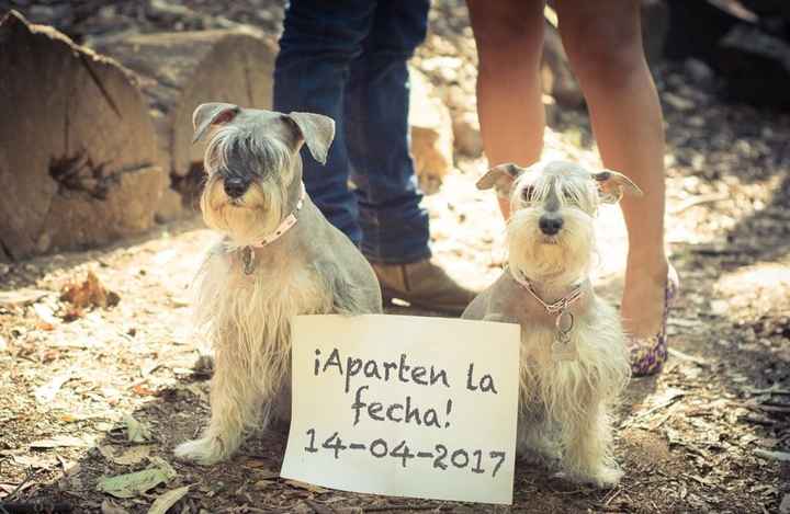 Mi save the date - 2