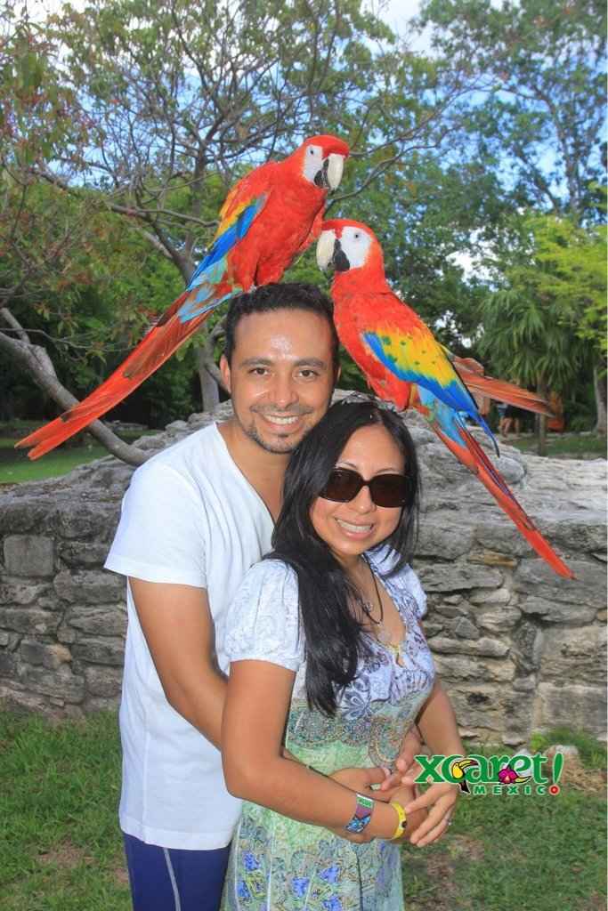 Viajesin de aniversario! xcaret? xplor? xel ha? ayudaaa - 5