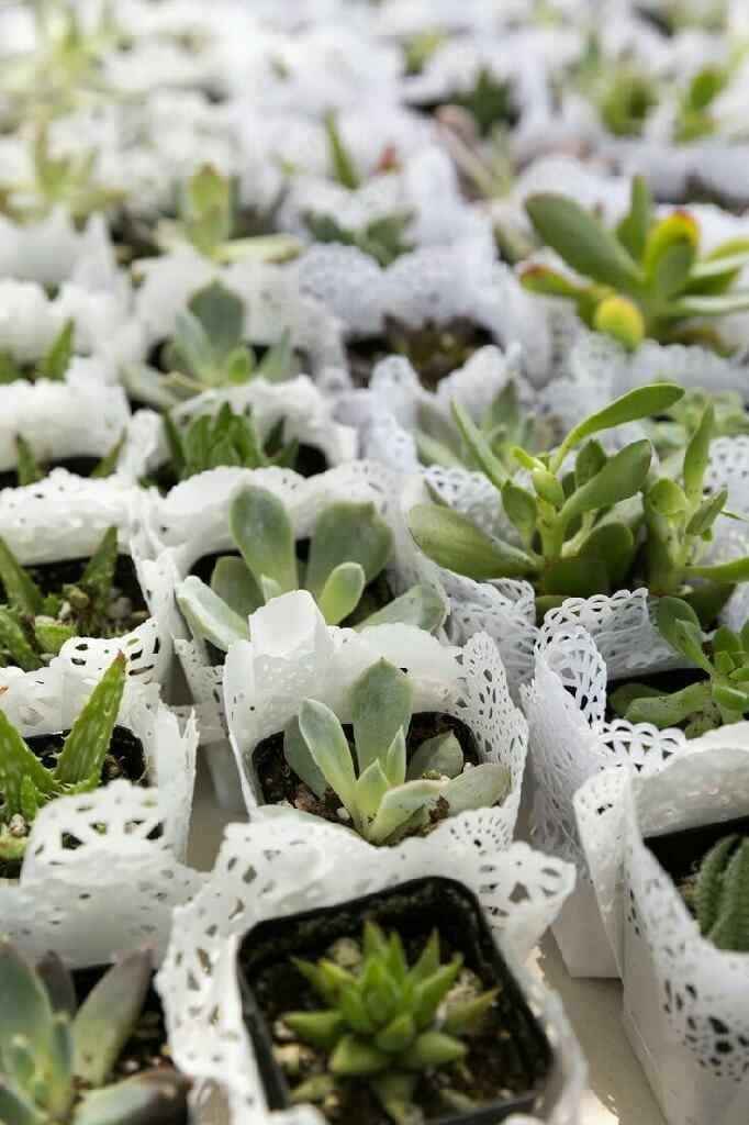  Recuerditos para la boda. - 6