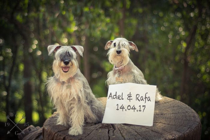 Mi save the date - 3