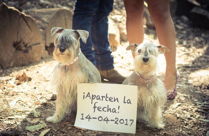 Saben de un buen proveedor de fotografía? - 6