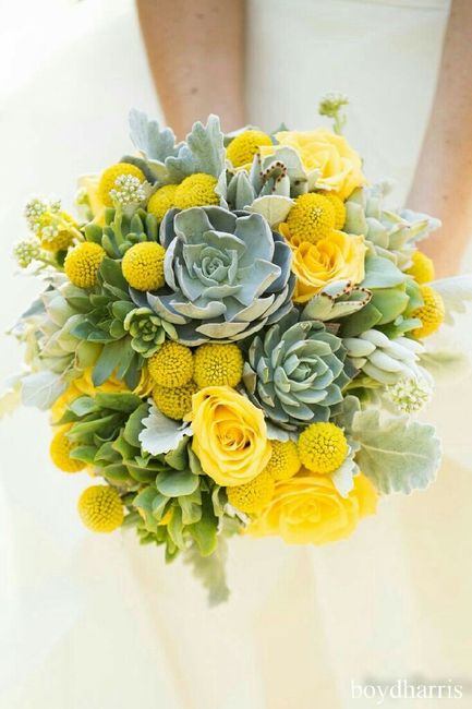 Combinación de colores amarillo y blanco - 5