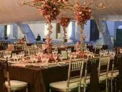 Combinaciones de colores en dorado y café - 1