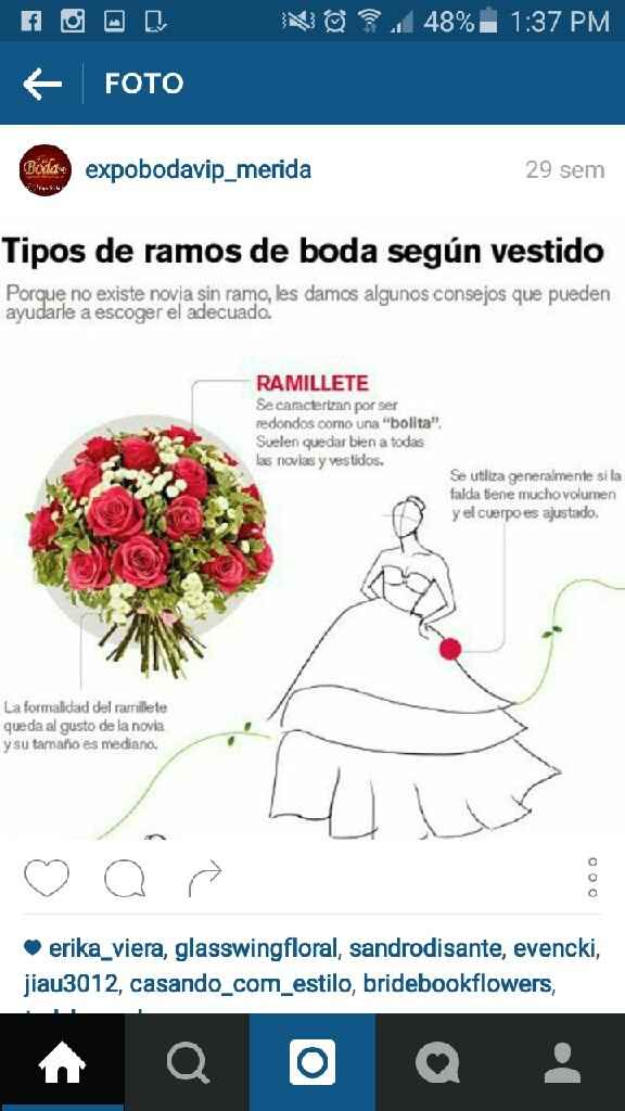 Opciones para mi ramo ??? ayuda chicas - 1