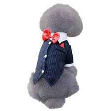 Las mascotas y el gran día - 9