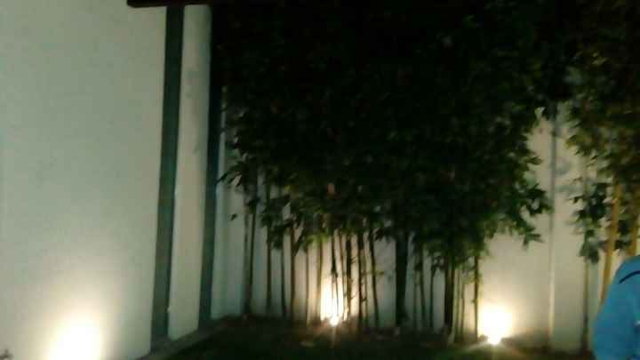 Salón y cambio de fecha - 1